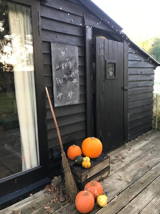 The Old Apple Shed Cosy Heated Cottage In A Meadow Close To The Charming Village Of Bethersden Ashford  Extérieur photo